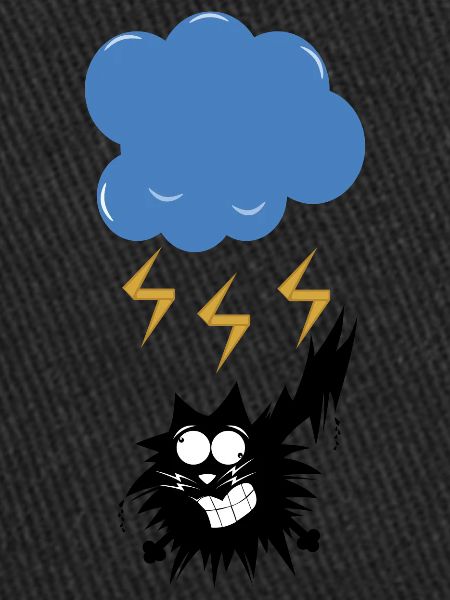 CAT STRUCK BY LIGHTNING