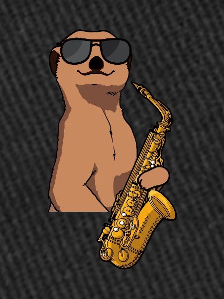 Saxophone Saxophone player