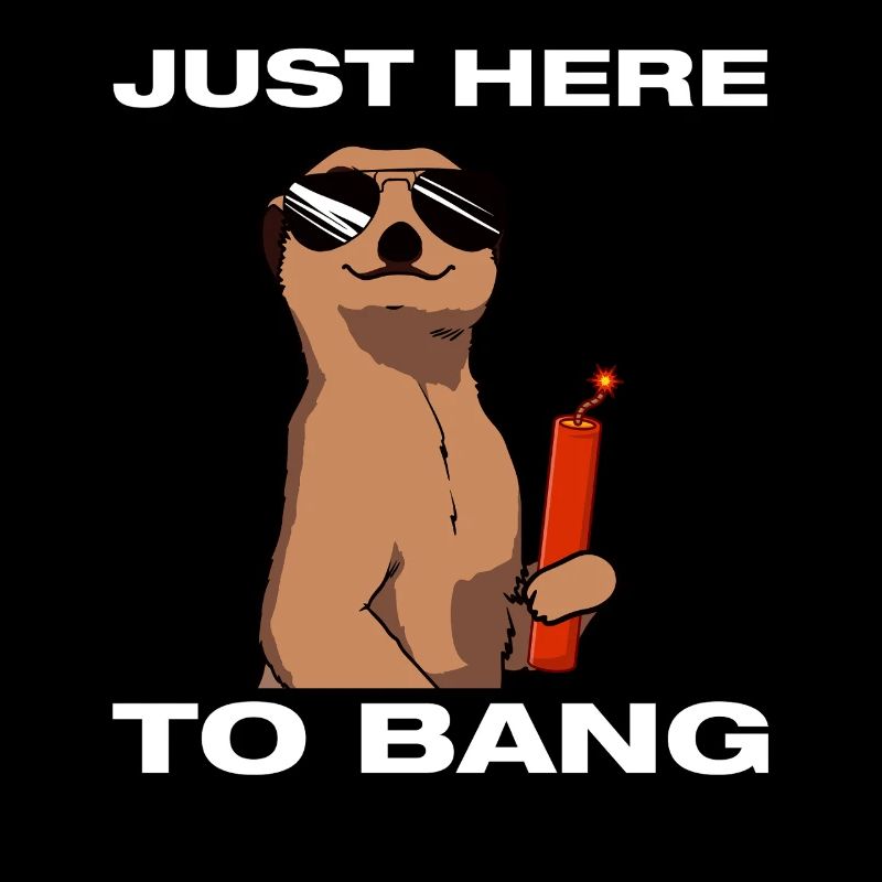 Just here to bang: Pyrotechnicians, firecrackers, fireworks