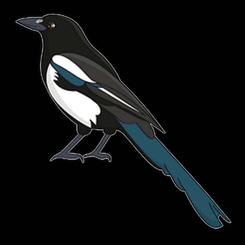 Magpie