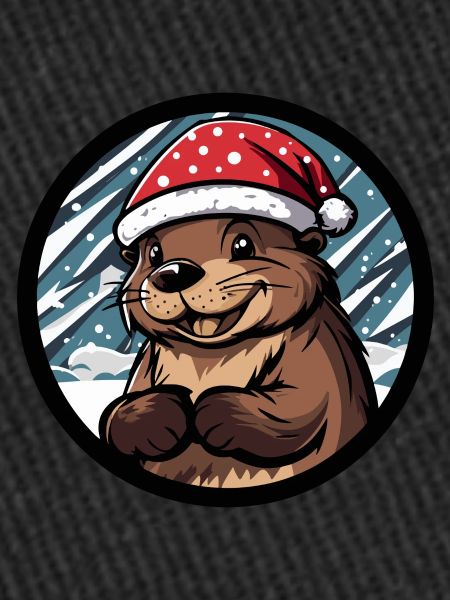Castor Noël Noël