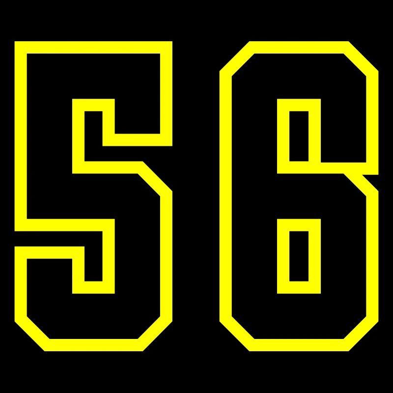 56 Number Leotard