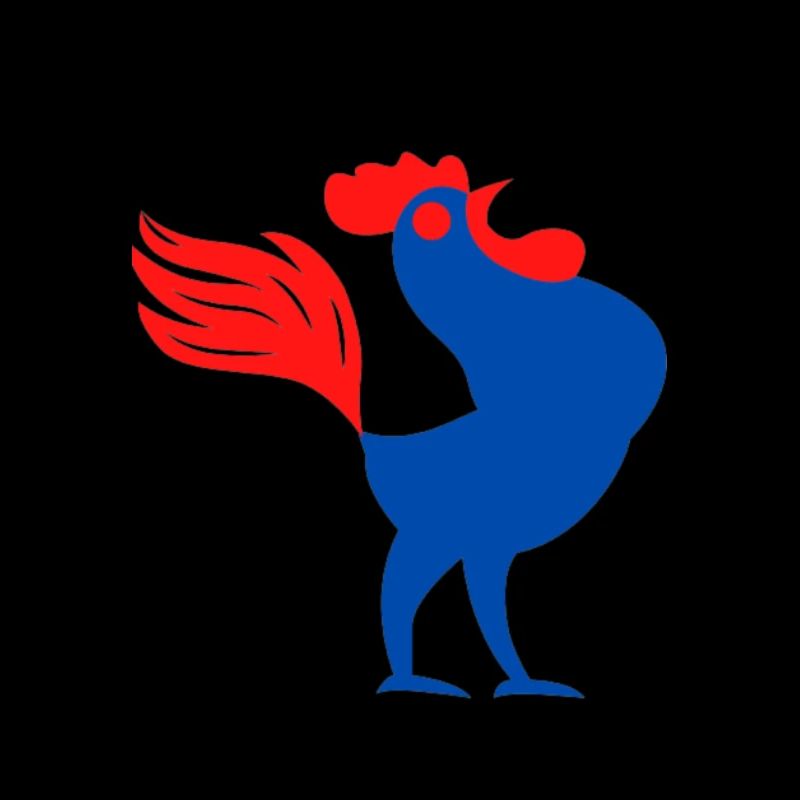 Mr THE COQ