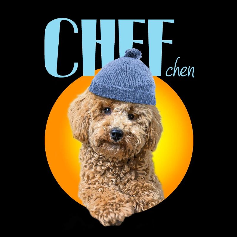 Caniche avec bonnet caniche « Chef »