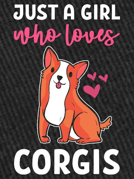Corgi