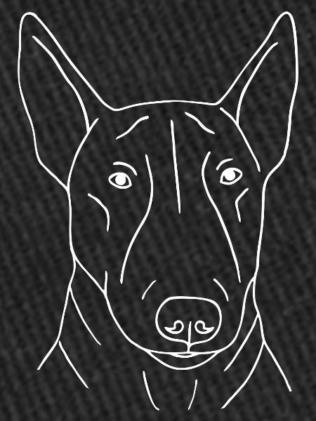 Bullterrier