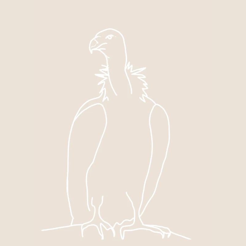 Vulture linear