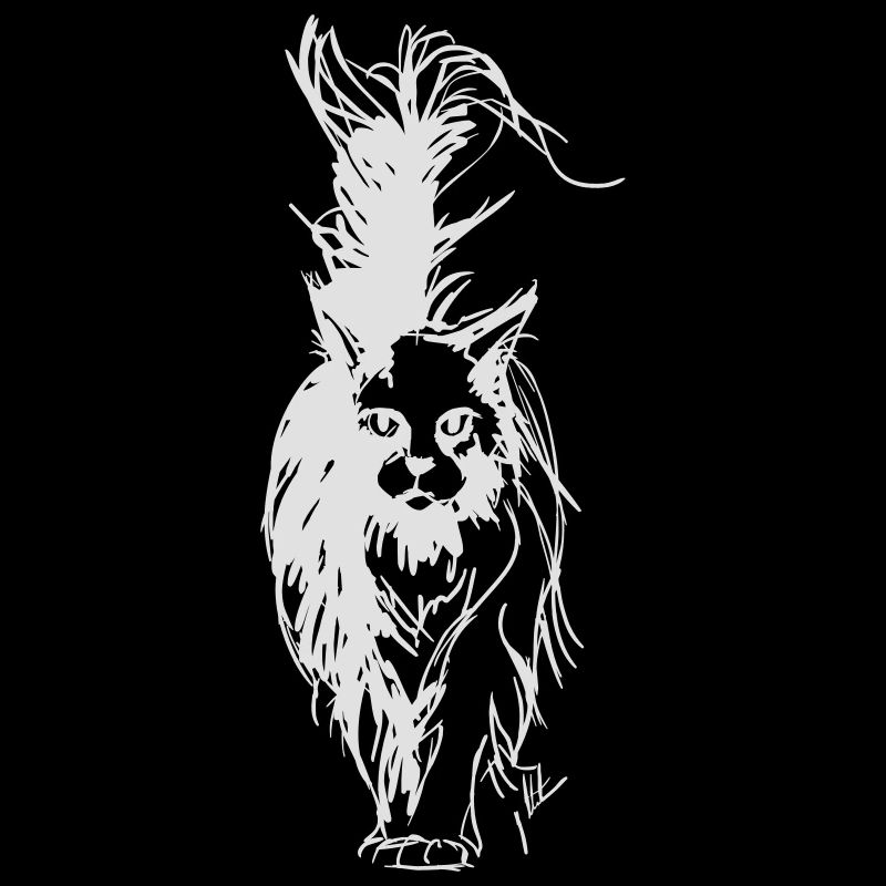 Maine Coon Blanc