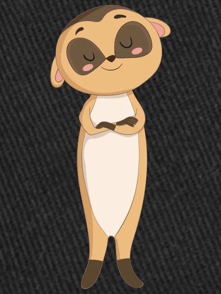 Suricate meerkats