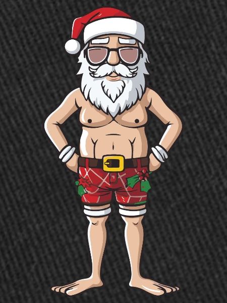 Santa Claus Holiday Santa
