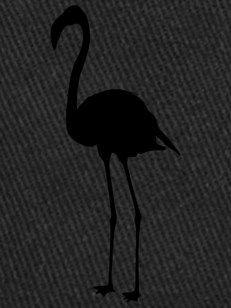 Flamants roses 6