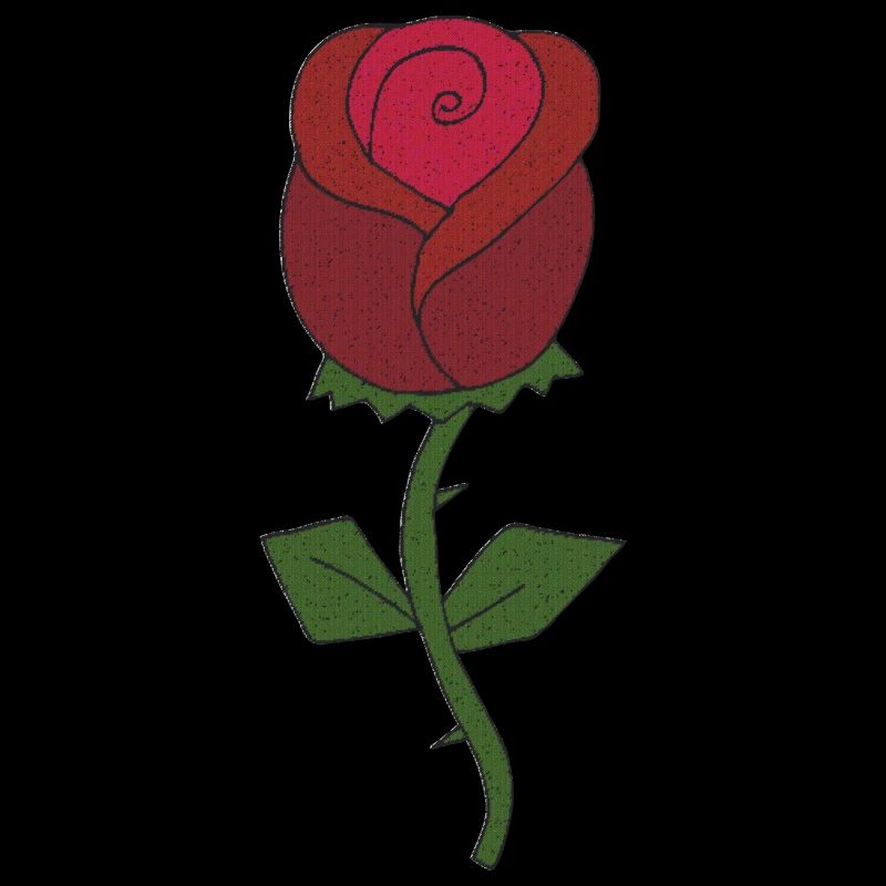 rose gewebe