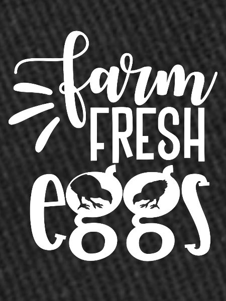 Farm Fresh Eggs 4 -