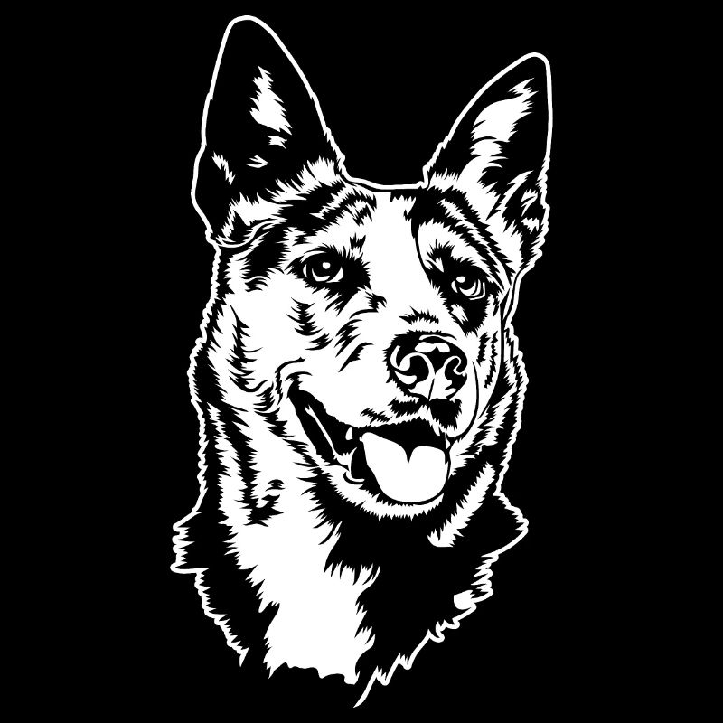 BOUVIER AUSTRALIEN Hunde Portrait Hund Wilsigns