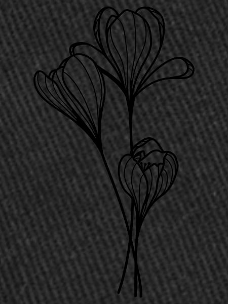 Crocus flower