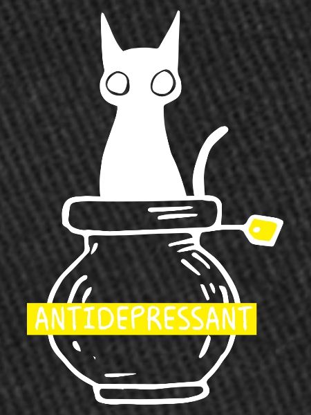 Antidepressant gift cat pets