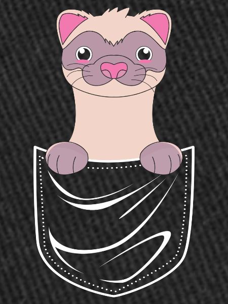 Ferret
