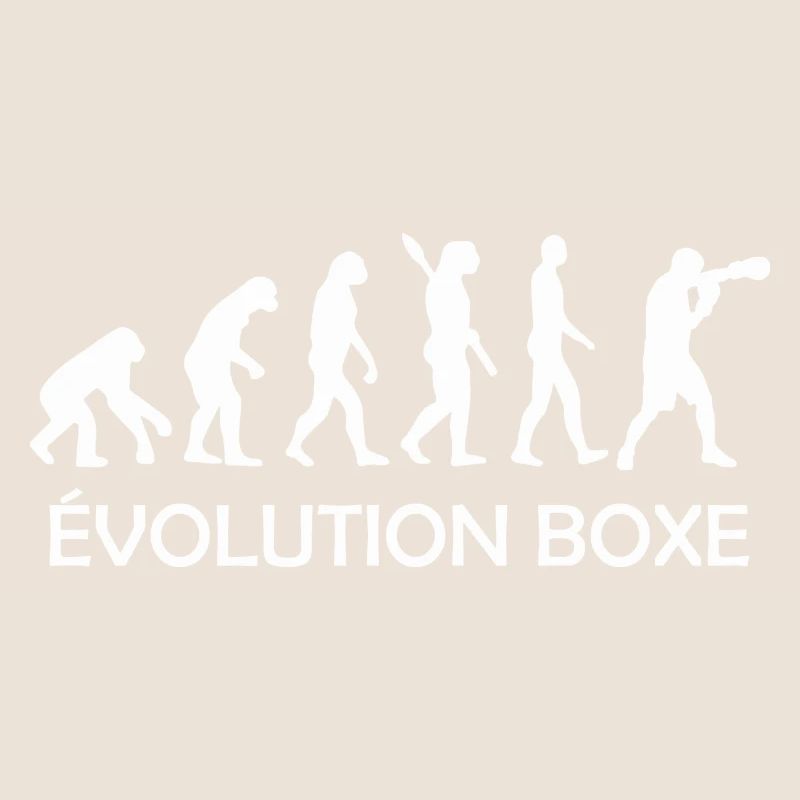 évolution boxe / evolution boxeur