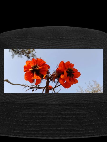 Fleurs canariennes