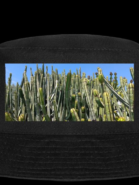 Cactus canarien