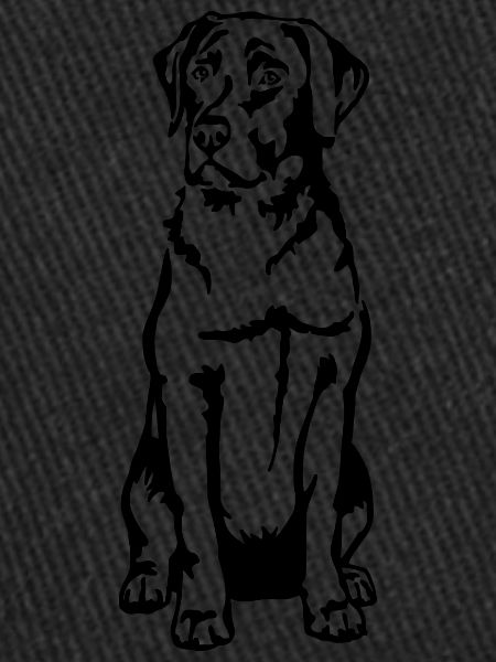 Labrador