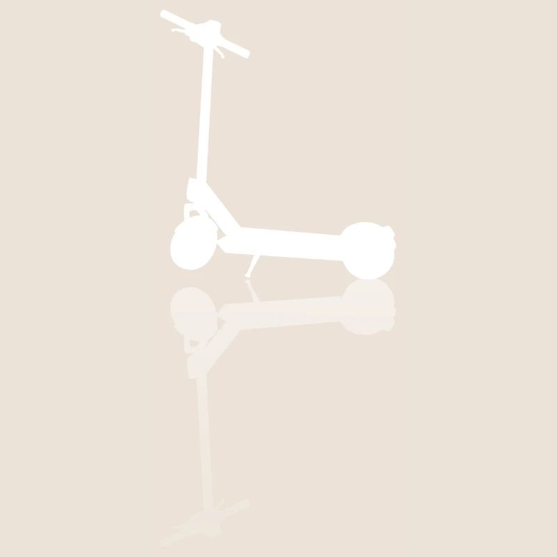 E Scooter Elektro Roller