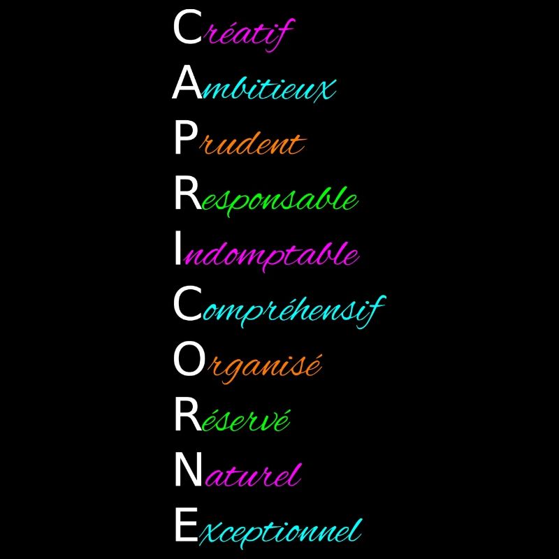 CAPRICORNE Créatif Ambitieux Prudent Responsable
