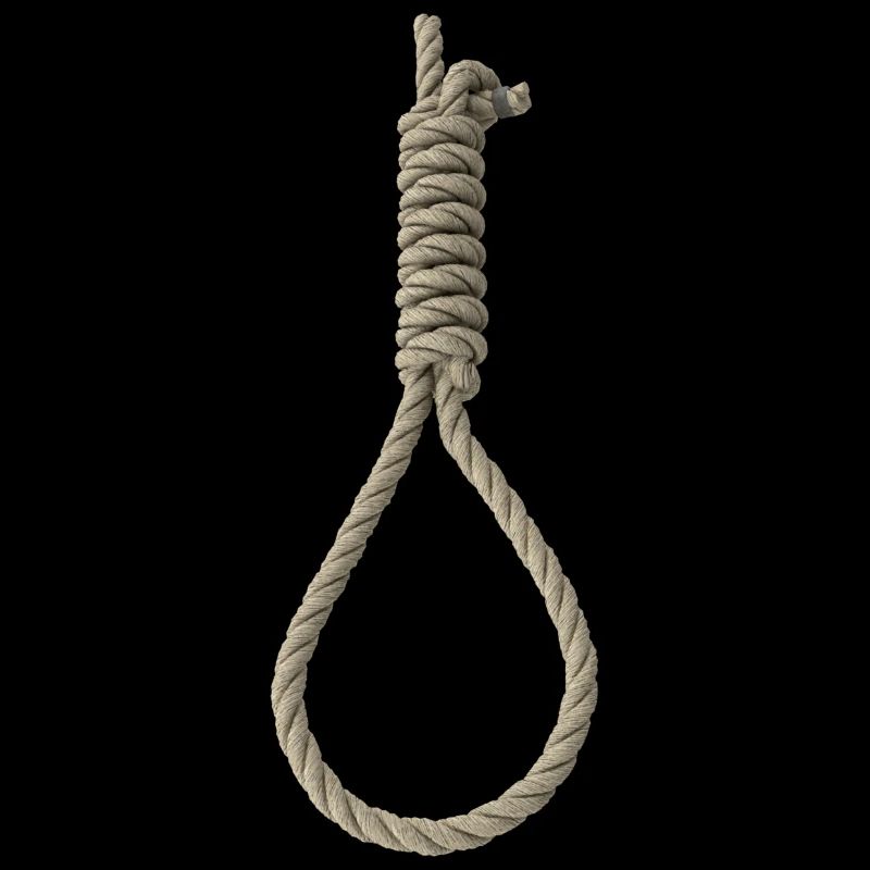 Noose - Sling - Gallows