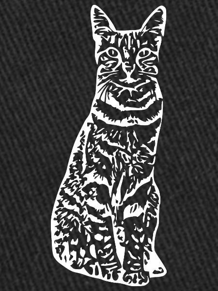 Chat chat chaton