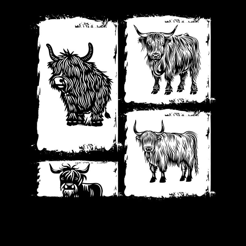 Bovins vaches Bovins Highland