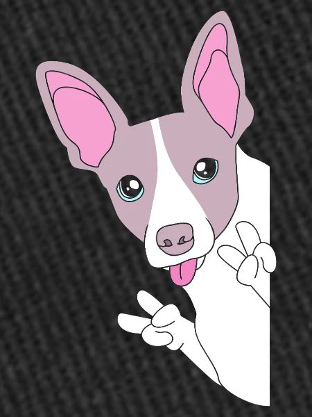 Rat Terrier