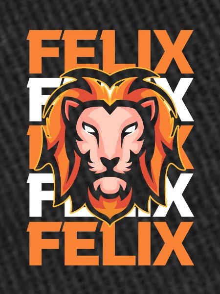 Leo Felix