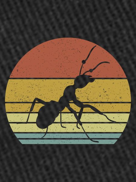 Ant