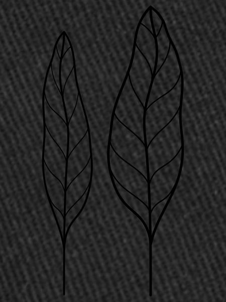 Feuille