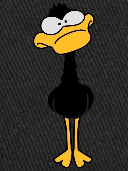 Funny Duck