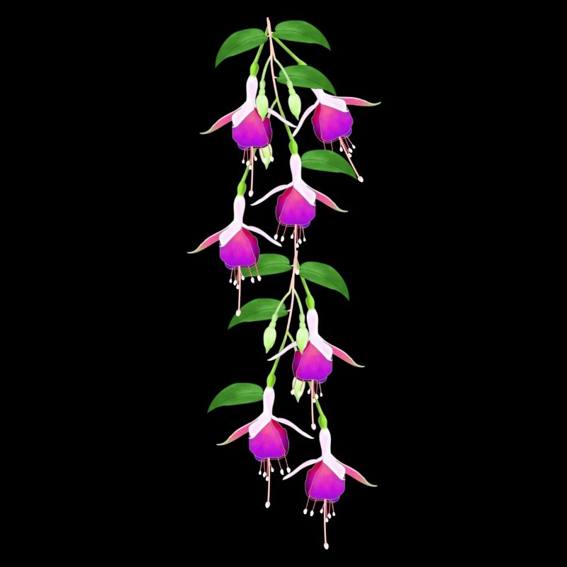 Fuchsia, Blüten
