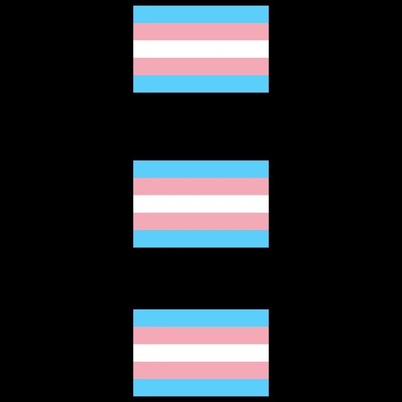 Trans Pride Flags  