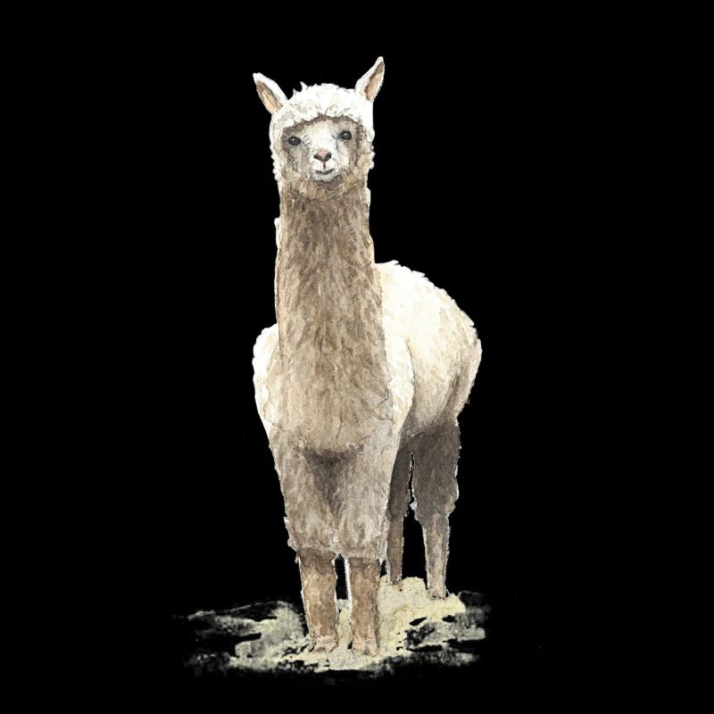 Lama