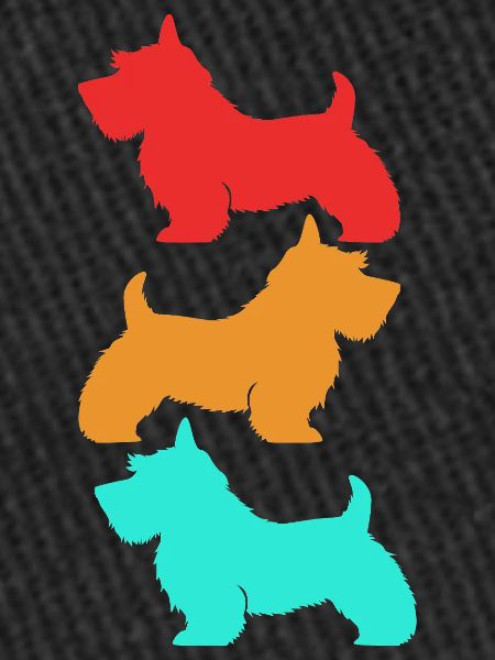 Terrier écossais