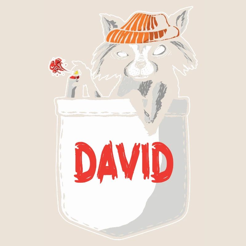 Raccoon David