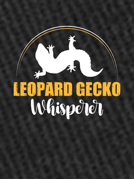 Reptile Lizard Leopard Gecko