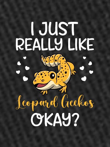 Reptile Lizard Leopard Gecko
