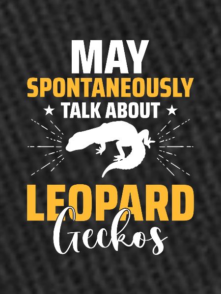 Reptile Lizard Leopard Gecko