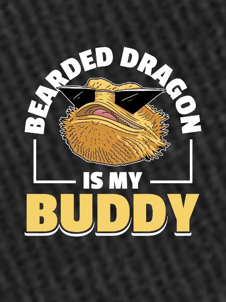 Bearded dragon