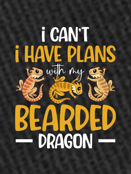Dragon barbu
