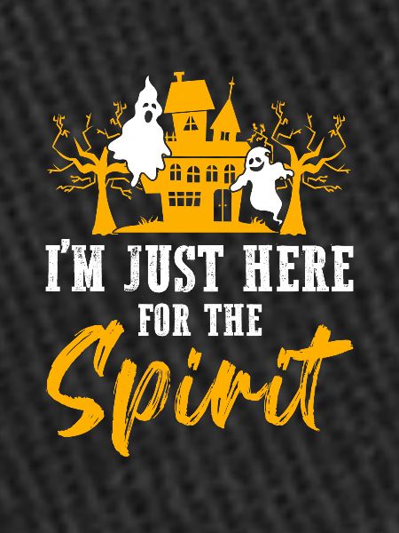 Paranormal Investigator Ghostbusters