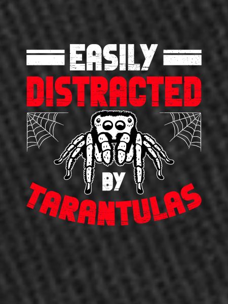 Spider Lovers Tarantula Owners