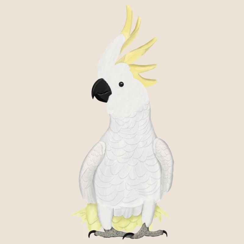 Cacatoès, ornithologue, biologiste, ornithologue