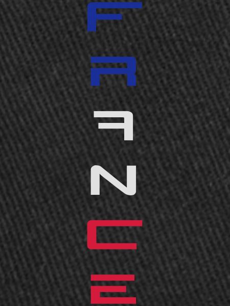 France Logo