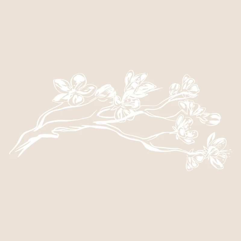 Kirschblüte
